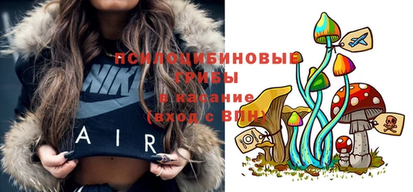 COCAINE Инсар