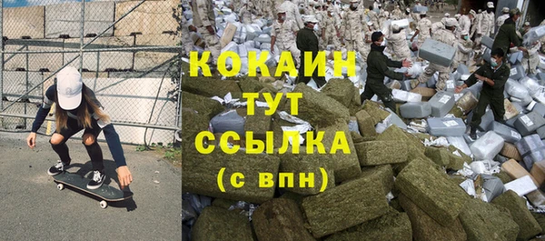 молекула духа Алексеевка