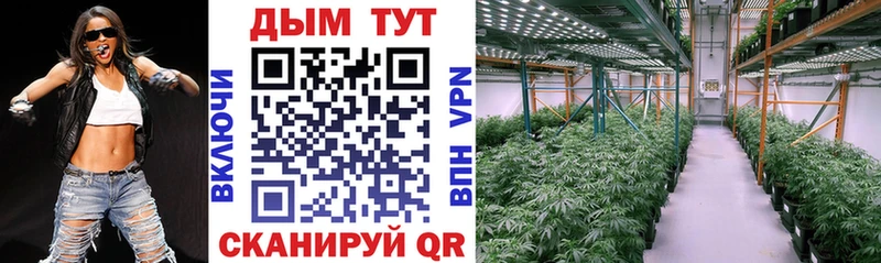 Бошки Шишки тримм  цены   Нижний Новгород 